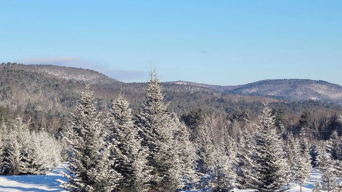 Guild Other | Christmas Tree Farmhouse stay with great view and 16 acres of walking trails