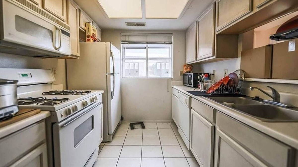 Whitney Condo | Circle duck