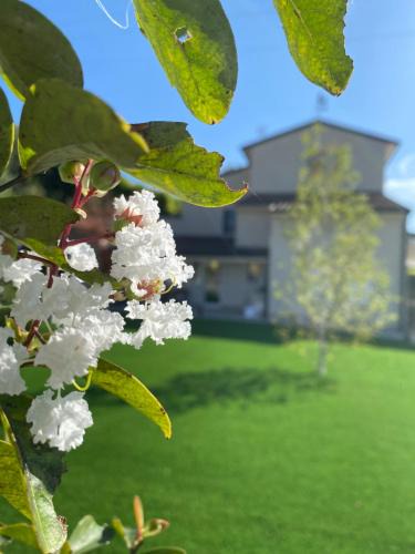 Palazzolo House | Civiconr3