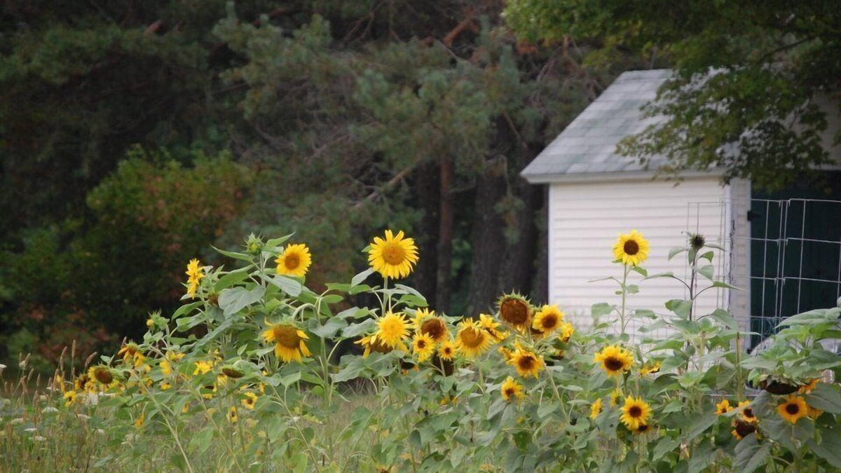 Jefferson Bed & Breakfast | Clary Lake Bed and Breakfast