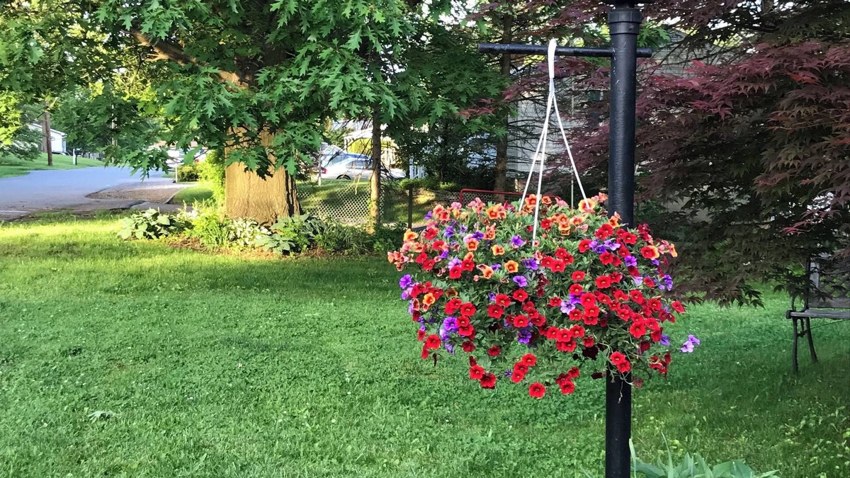 Boalsburg House | Clean & Calm Home, Close to Penn State's Campus