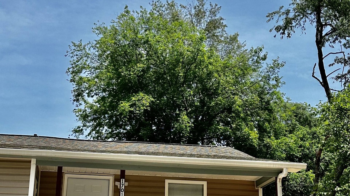 Springdale Apartment | Clean Townhome near MUSC Lancaster