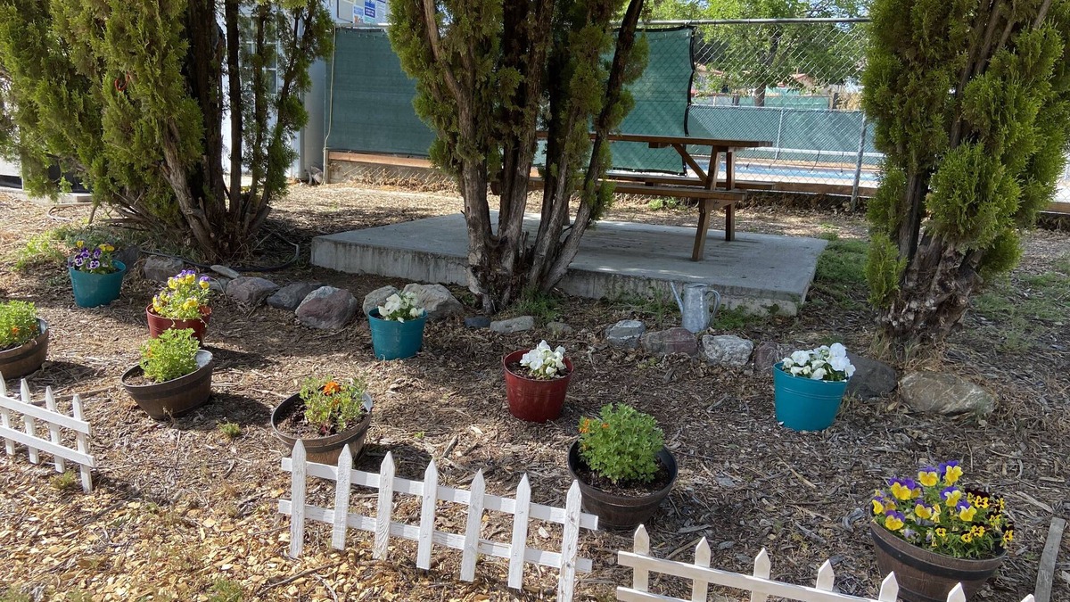 Clearlake Park Cabin | Clearlake Cabins
