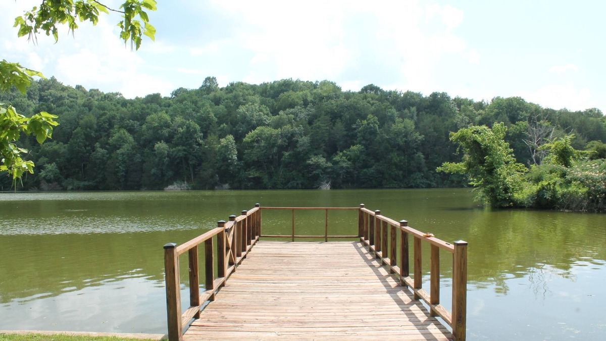 Kelso House | Clementine Cottage- Quiet Charming Cottage on Lincoln Lake