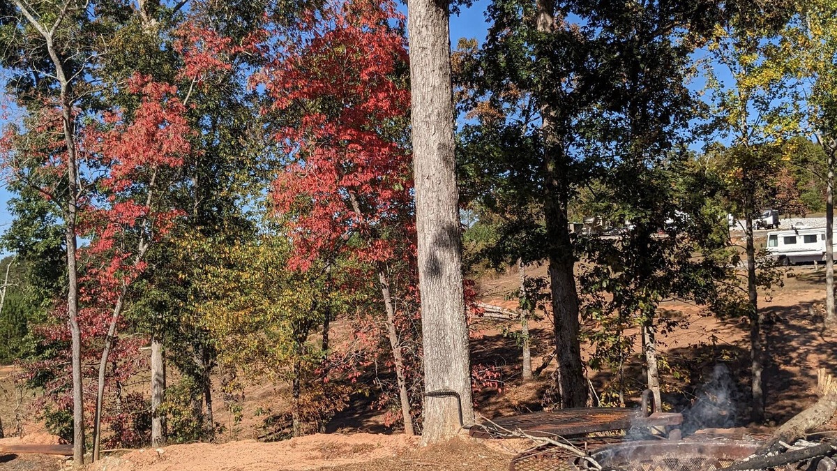 Seneca RV Rental | Clemson Hills RV club Camper RentalnBeautiful views 4 miles from Clemson/Seneca