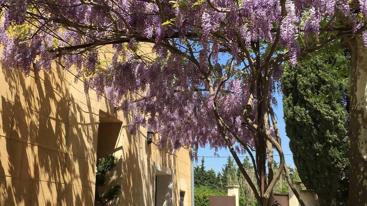 Avignon House | Clos St Pierre de Fraisse