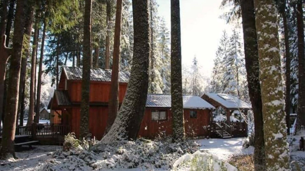 Ashford Cabin | Close to Mt. Rainier. AC in the summer Wood stove for Emergency heat & cooking.