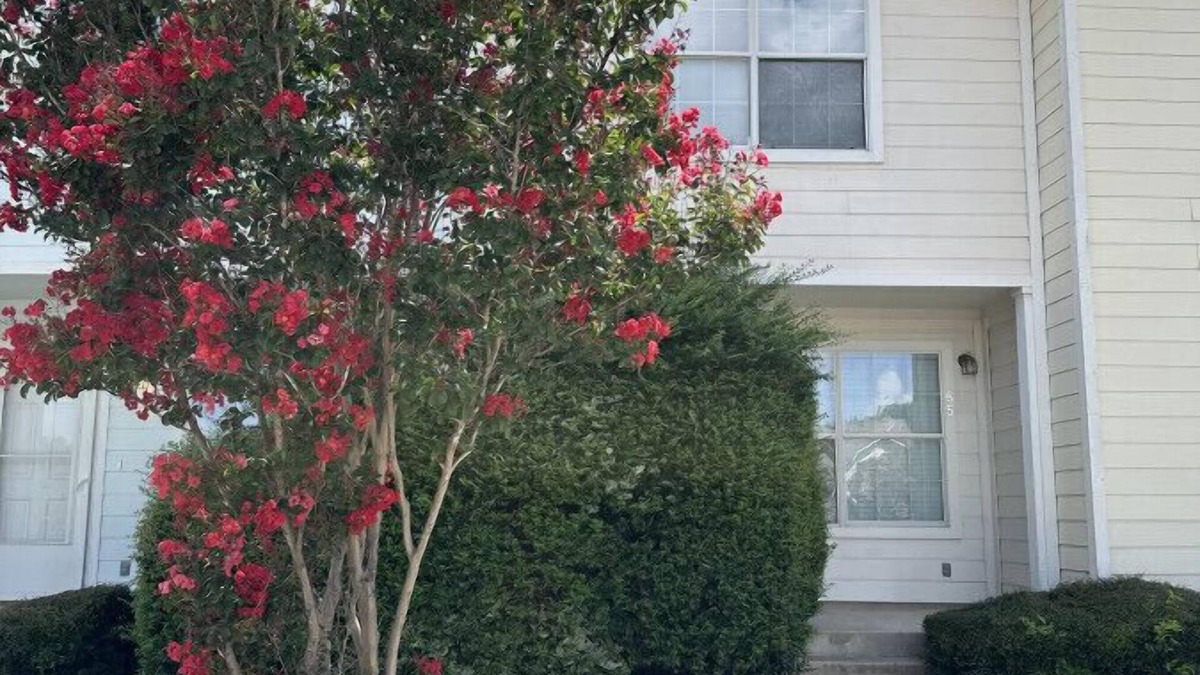 Heritage House | Close to Sea World & Lackland