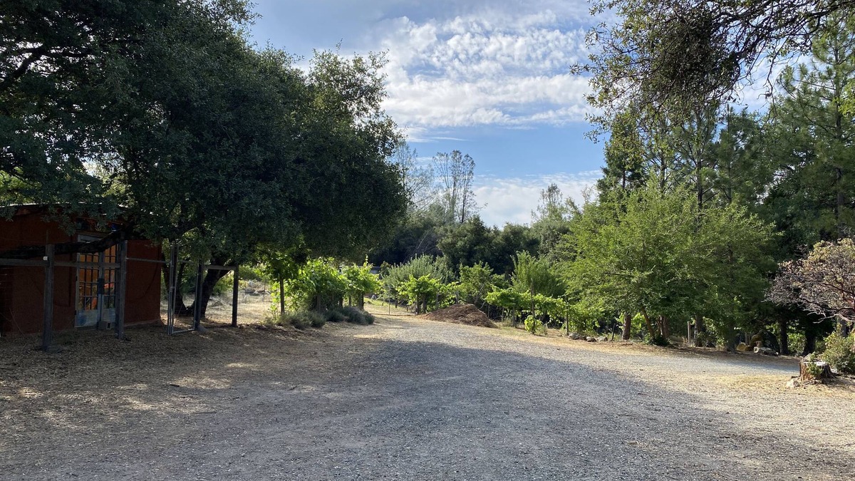 Grass Valley House | Close to town and river country setting home