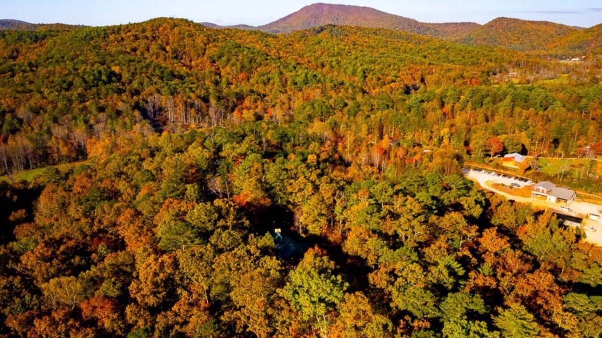 Tiger Apartment | Clyde’s Cabin: Mtn View, Fire Pit, Pet-Friendly
