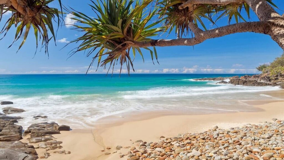 Coolum Beach House | Coastal oasis - family & pet friendly.
