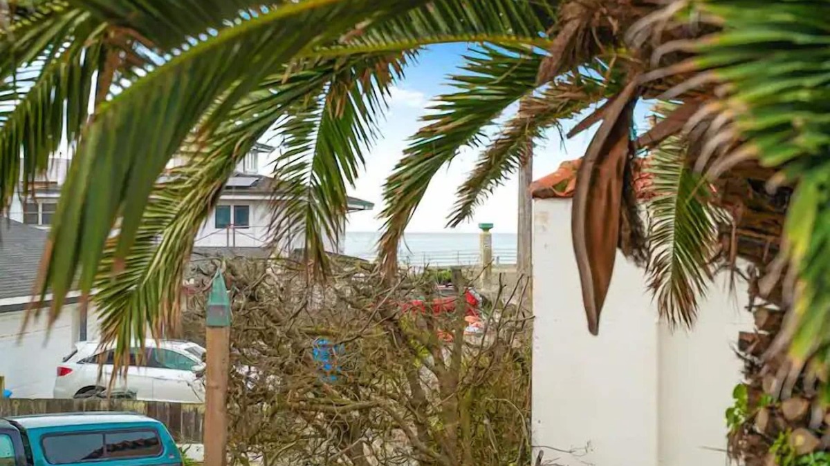 Sharp Park Apartment | Coastal Palm Tree 2BR Retreat Ocean View