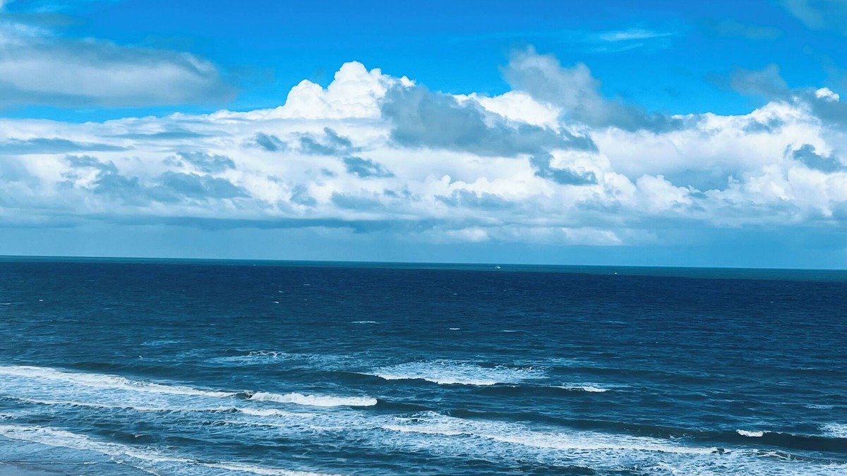 Ortona Park Condo | Coastal Waves Ocean View Studio condo