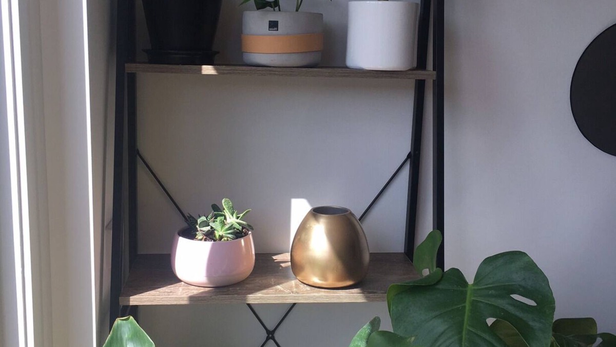 Point Cook House | Coco&Pops little Nest