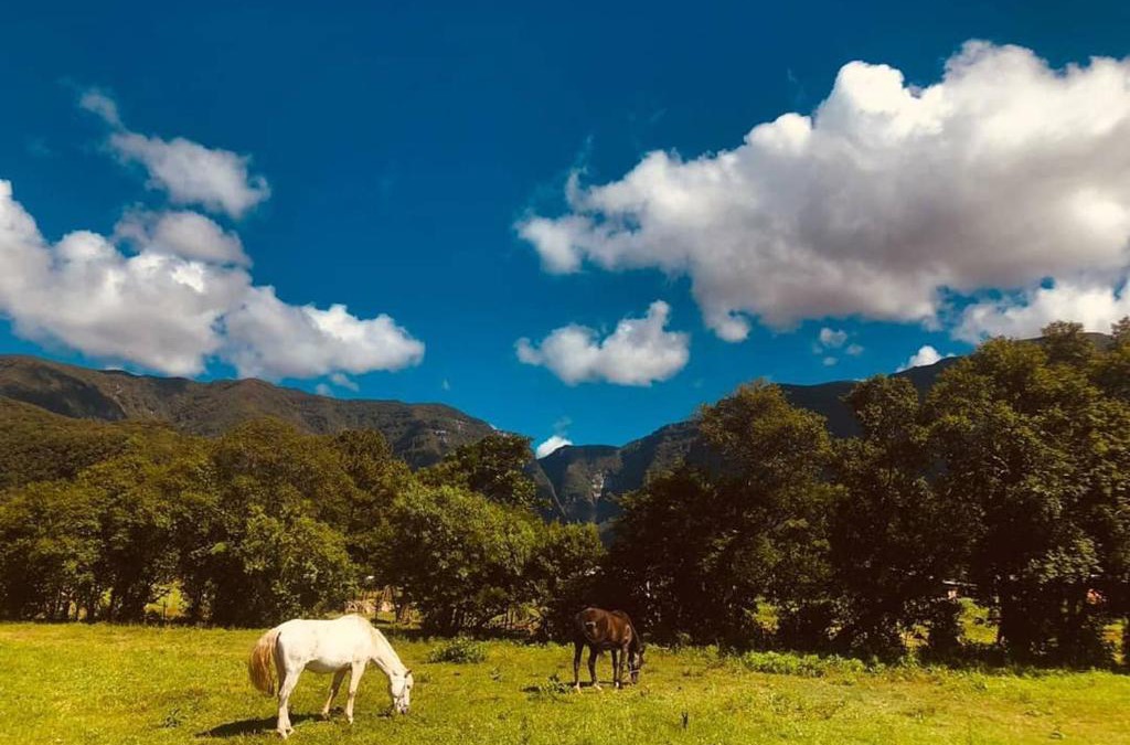 Praia Grande House | Coelho Recanto Dos Vales