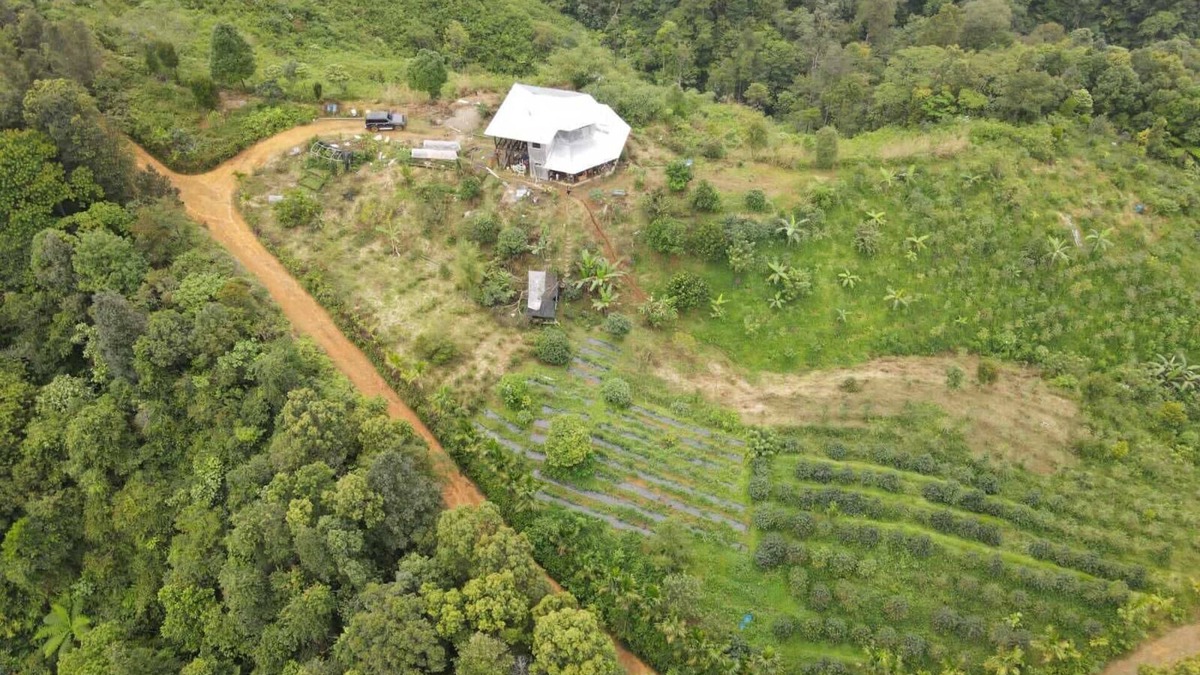 Langkat Cabin | Coffee Farmstay and Roastery in Sumatra, offgrid, authentic, natural