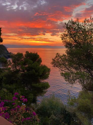 Varazze Villa | Cokkinis villa with garden overlooking the sea