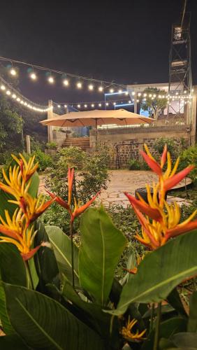 Pleiku Apartment | Cola House