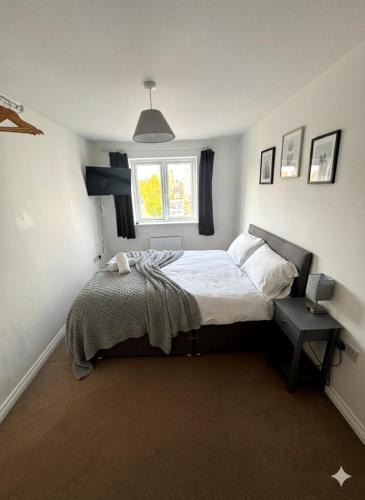 Colchester House | Colchester Retreat 4br 2bath Ample Street Parking