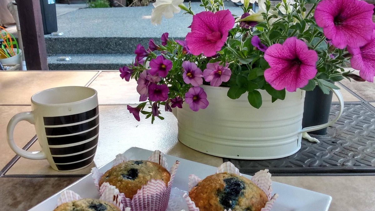 North Saanich Apartment | Cole's Bay Vacation Retreat Cole's Bay Suite