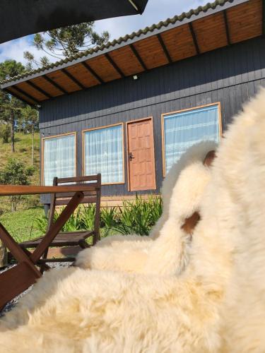 Rio Rufino House | Colina Branca