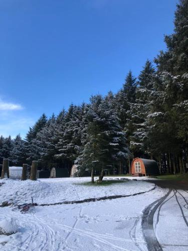 St. Neot Hotel | Colliford Lake Hotel & Campsite