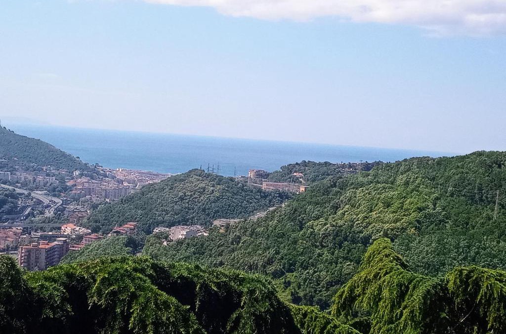Pellezzano House | Collina Belvedere, appartamento indipendente in villa Salerno-Capezzano