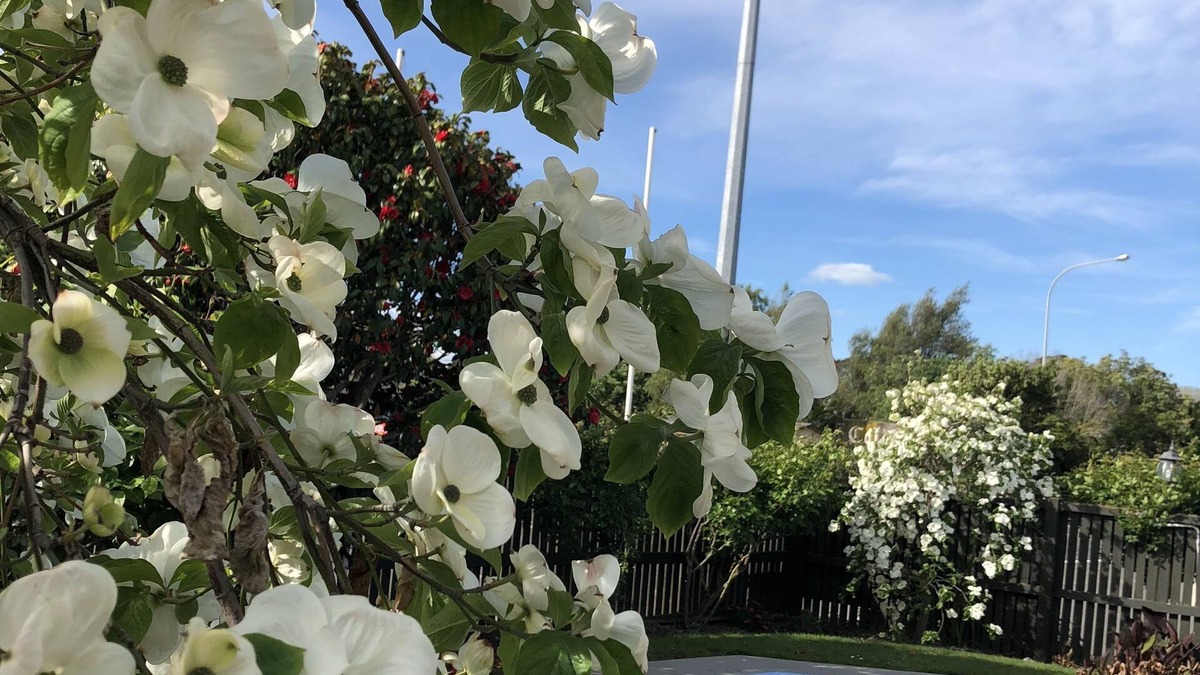 Blenheim Hotel | Colonial Motel