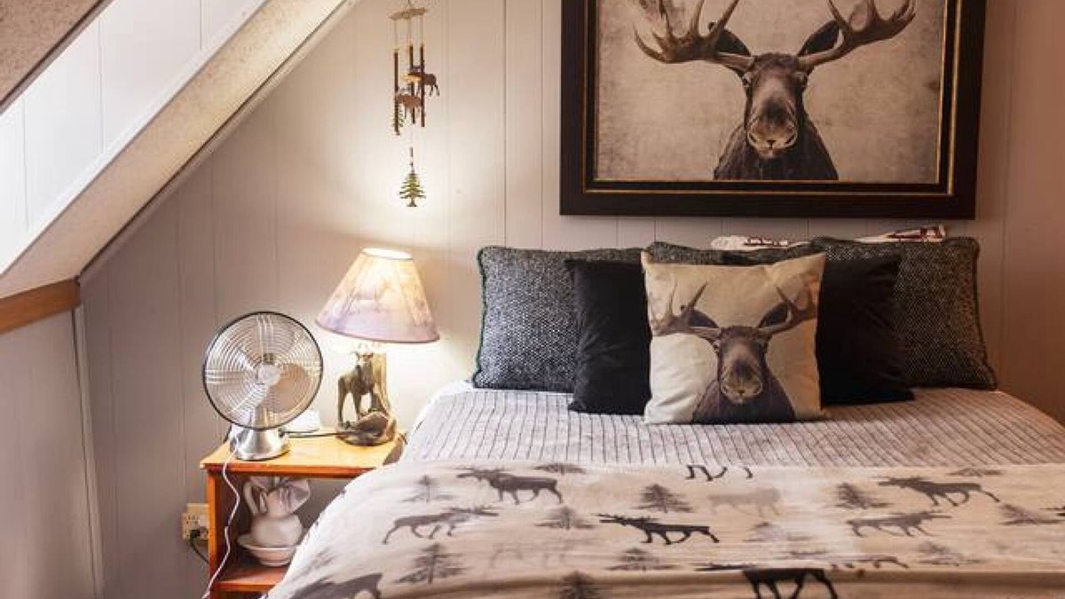 Silverton Apartment | Columbine Lodge-4br Mountain Retreat Near Durango