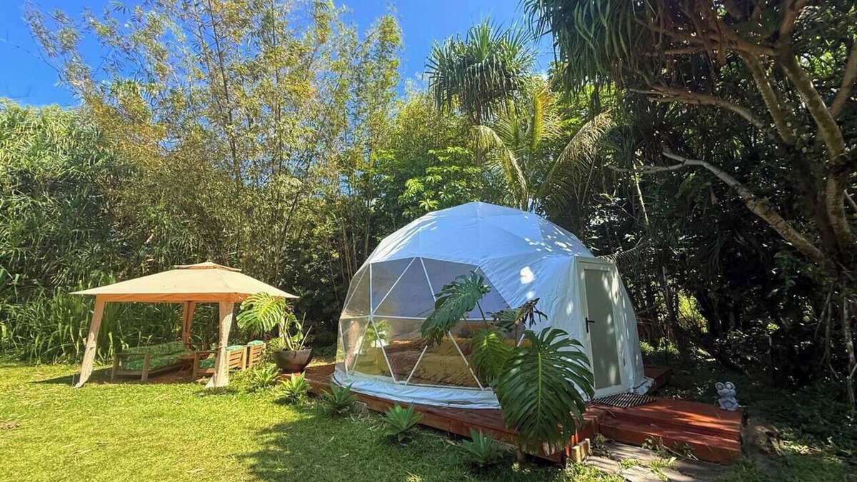 Waa Waa House | Come sleep in the jungle Glamping Experience