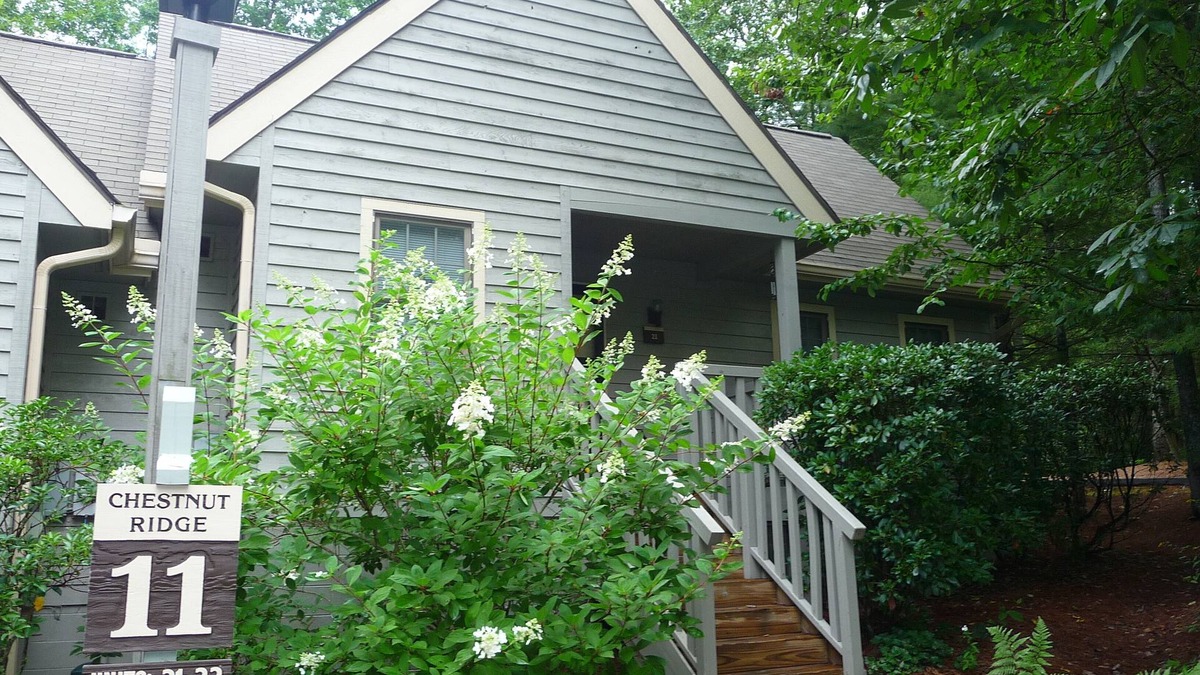 Sapphire House | Come Snuggle in the Tree Frog & Enjoy Great Sapphire Valley Resort Amenities!