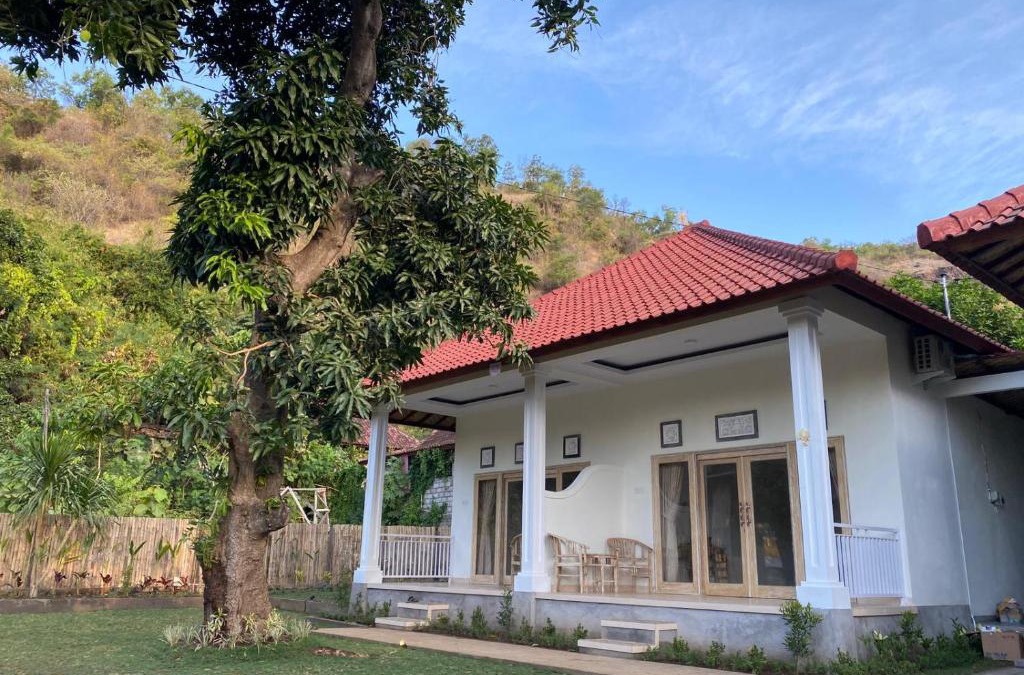 Amed House | Comeon Amed