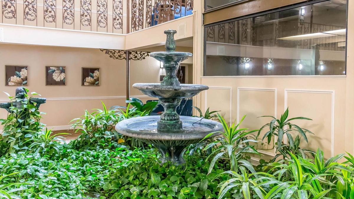 Savannah Hotel | Comfort Inn