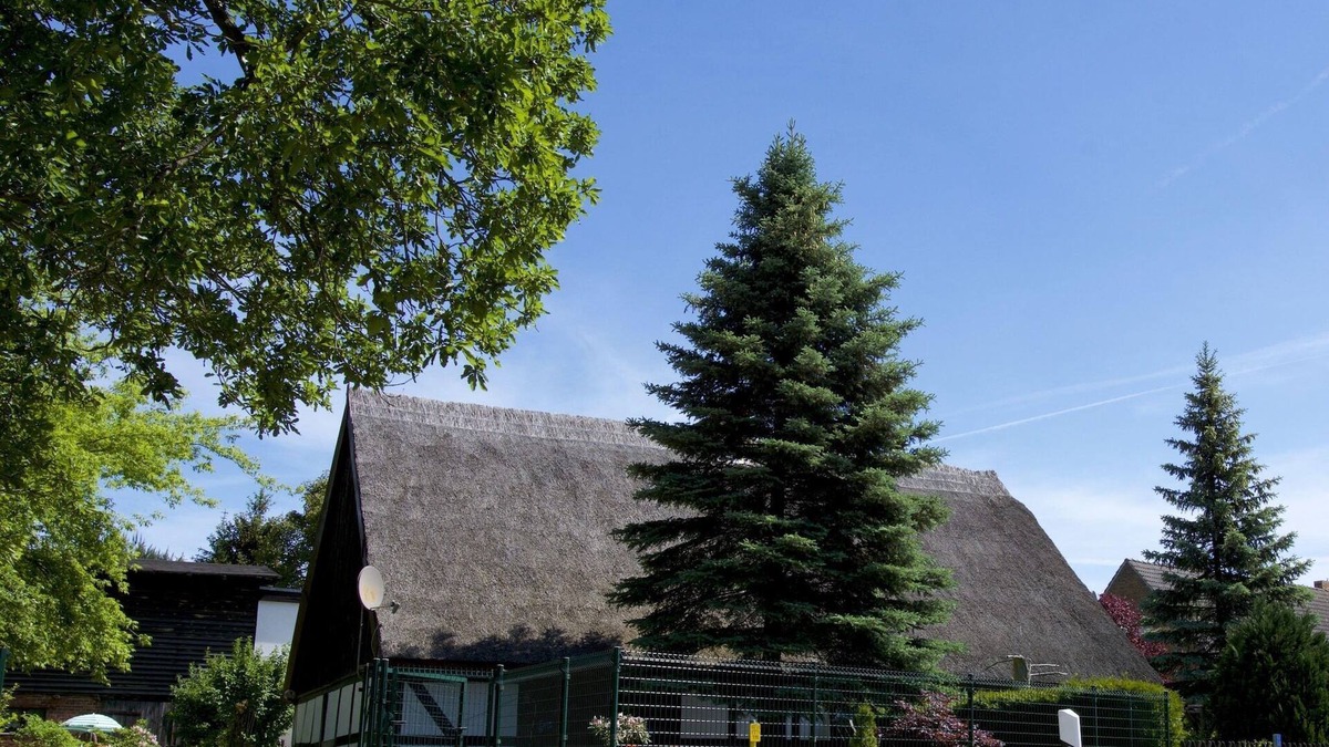 Ahlbeck House | Comfort Meets Coastal Charm