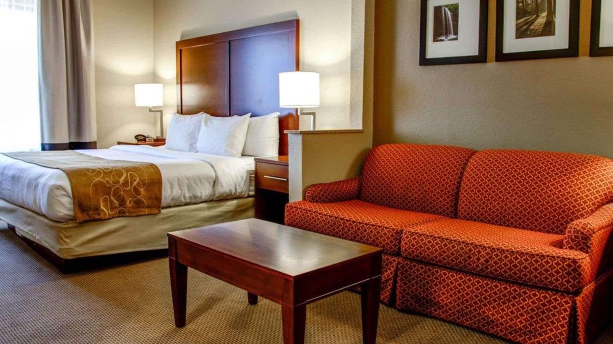 Gadsden Hotel | Comfort Suites Gadsden Attalla