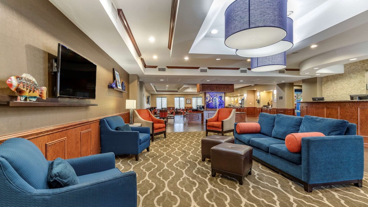 Bay Area Hotel | Comfort Suites Near Texas A&M University - Corpus Christi