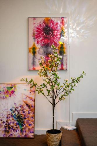 Caulfield North Apartment | Comfortable 3BR Apt in Heart of Caulfield North