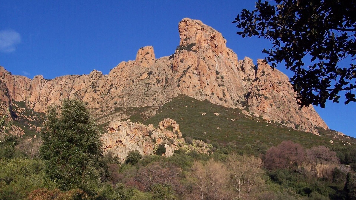 Afa Apartment | Comfortable 55m² ground floor at the foot of Mount Gozzi in Piscia Rossa (Appietto)