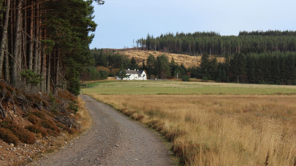 Woodend Cottage | Comfortable cottage in stunning location.