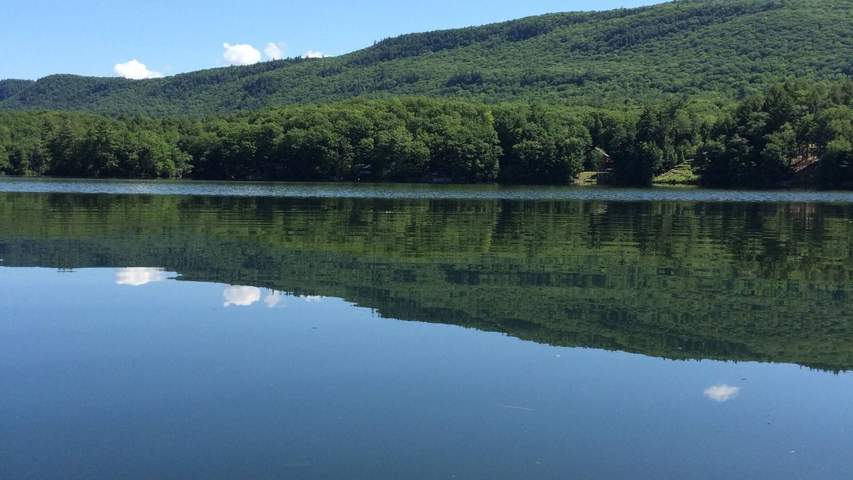 Forest Dale Cottage | Comfortable Family Friendly Cottage On Beautiful Fern Lake