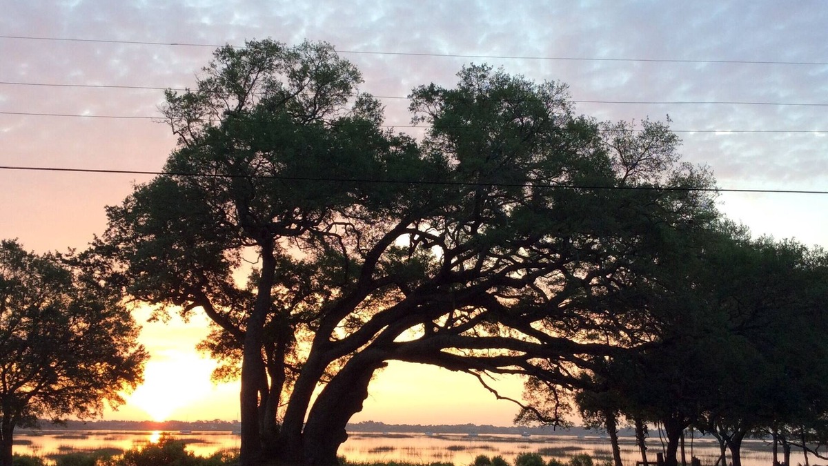 St. Augustine South House | Comfortable home, quiet, scenic neighborhood, walkable street, near town & beach