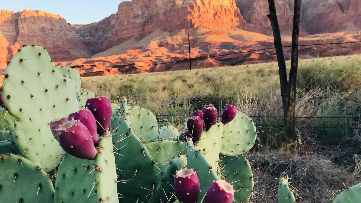 Marble Canyon House | Comfortable Home with Breathtaking Views of the Vermilion Cliffs Wilderness