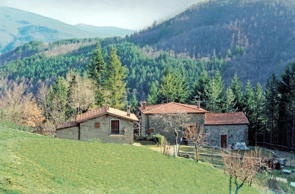 Moggiana House | Comfortable House in Bibbiena + Pool