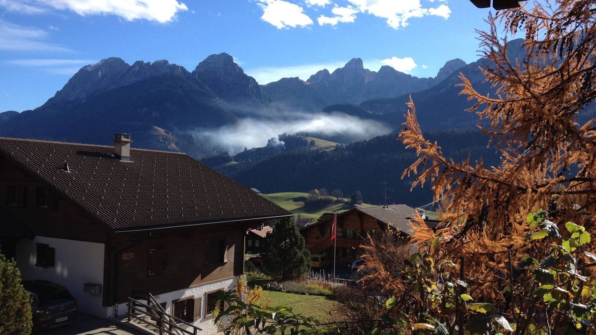 Chateau-d'Oex Apartment | Comfortable mountain flat in Château d'Oex, sleeps 2