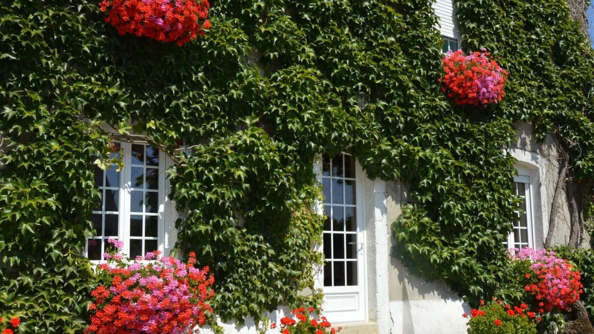 Doville Cottage | Comfortable semi-detached house with garden and pets allowed near the beach