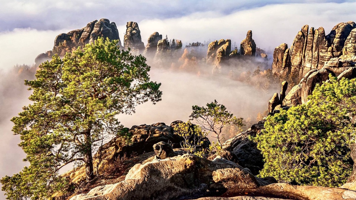 Laubegast Apartment | Comfortable & tastefully furnished apartment with balcony and shared use of the garden