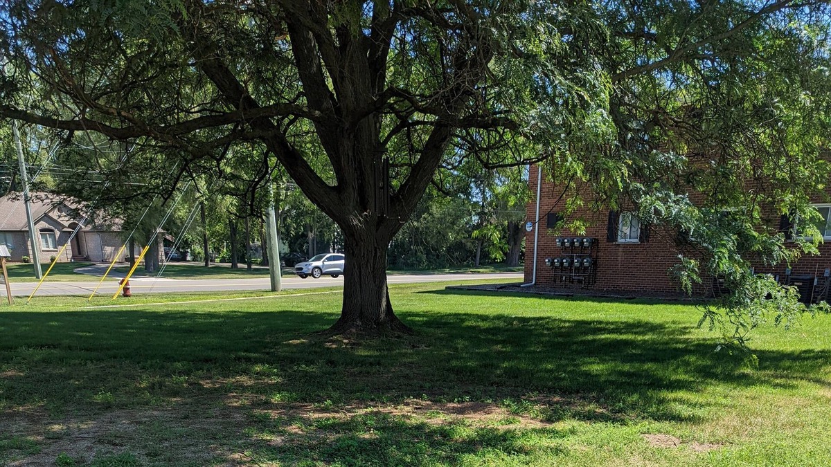 Shelby Township Apartment | Comfy -1 Bedroom Apartment / Shelby Twp, Mi (Apt #2)