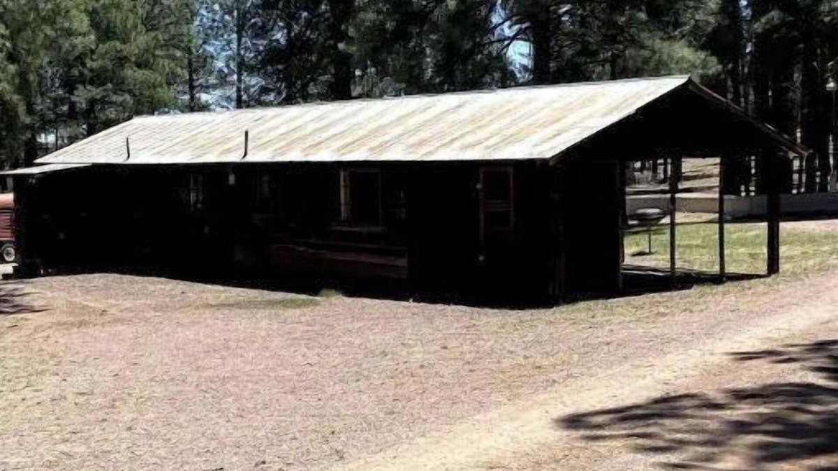 Alpine Cabin | Comfy Cozy Cabin in the tall pines of Alpine AZ #1