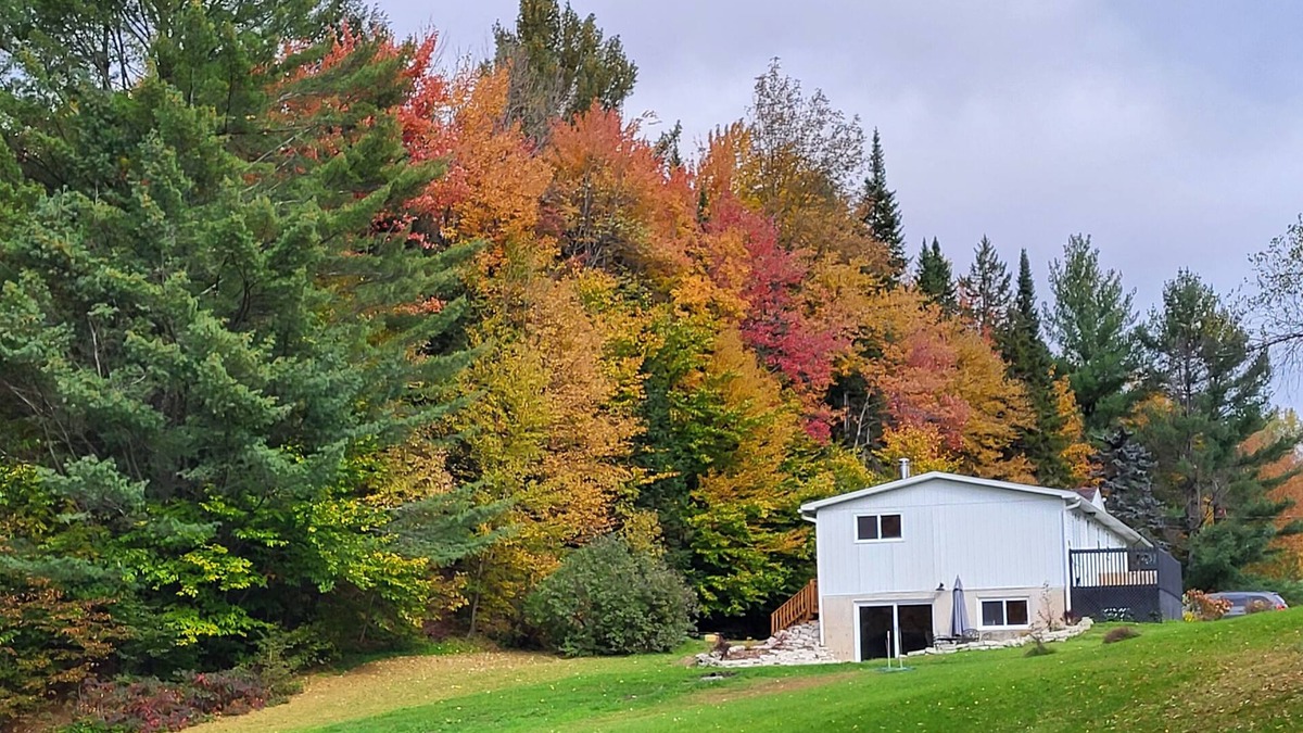 Potton Ski Chalet | Comfy creekside chalet+5 skiResorts+HiSpeedNet&Workspace+Fireplace&Hometheater