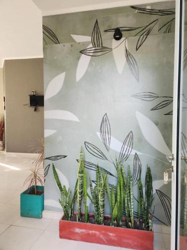 Desvio Arijon Apartment | Complejo de Cabañas Las Ranas